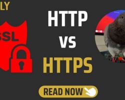 HTTP vs. HTTPS: SEO Performansı Karşılaştırması