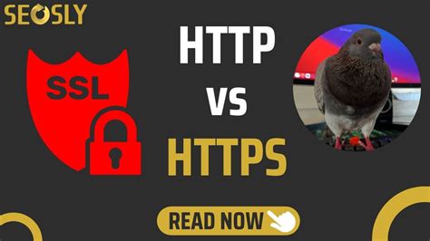 HTTP vs. HTTPS: SEO Performansı Karşılaştırması