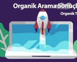 Organik Trafik ve Arama Motorları İlişkisi