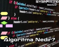 Algoritma Nedir ve Ne İşe Yarar: Bilgisayar Bilimi ve Optimizasyon Esasları