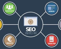 Cognitive SEO Nedir ve Nasıl Kullanılır: SEO Analizi ve Optimizasyon Araçları