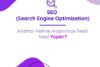 Wordtracker Nedir ve Nasıl Kullanılır: Anahtar Kelime Araştırması ve SEO İpuçları